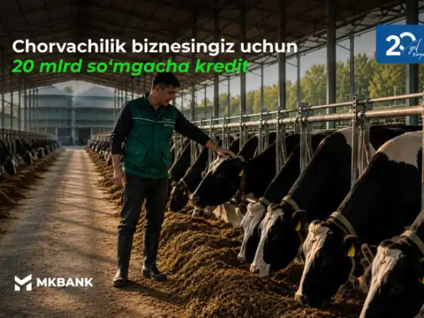 Chorvachilik biznesingiz uchun 20 mlrd so‘mgacha kredit