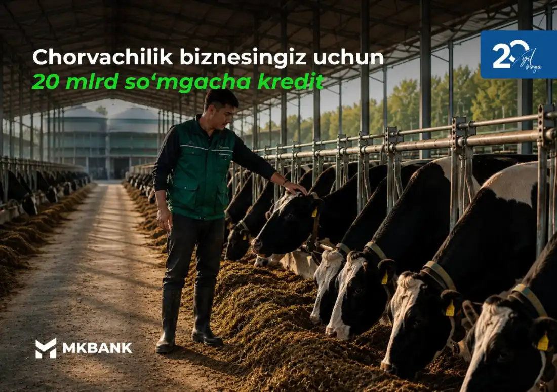 Chorvachilik biznesingiz uchun 20 mlrd so‘mgacha kredit