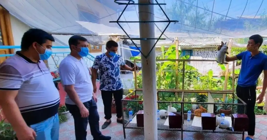  “Mikrokreditbank” tomonidan Bo‘ka tumanidagi oilalarga quyonchilikni rivojlantirish uchun mikrokreditlar ajratilmoqda