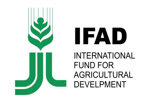 International Fund for Agricultural Development