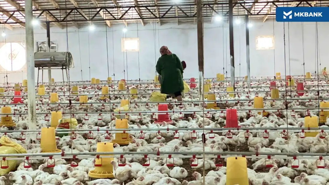 Yiliga 225 tonna mahsulot ishlab chiqarish quvvatiga ega korxona