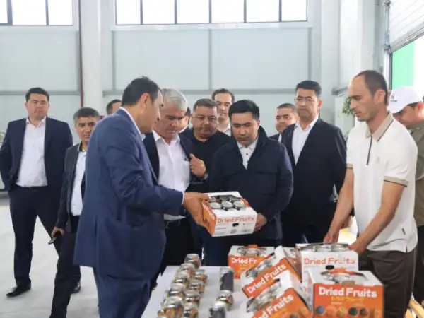 Quvada bog‘dorchilikning yangi davri: “Quva Agrostar” innovatsion tajribasi bilan tanishuv 