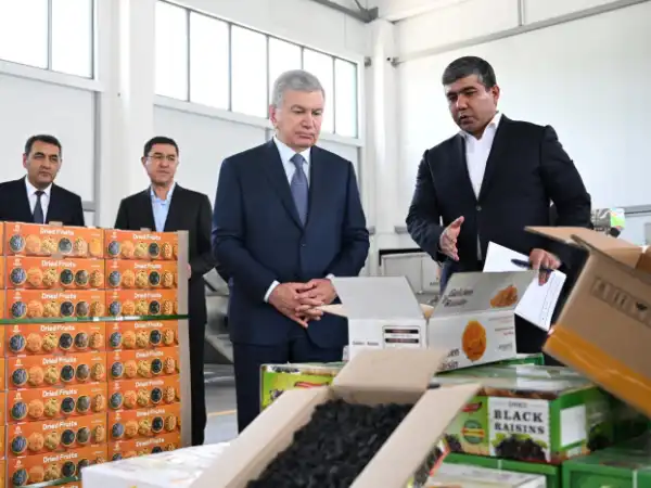 Shavkat Mirziyoyev “Quva Agrostar” korxonasi faoliyati bilan tanishdi