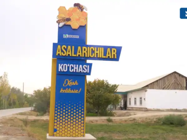 Репортаж с улицы пчеловодов в Бухаре