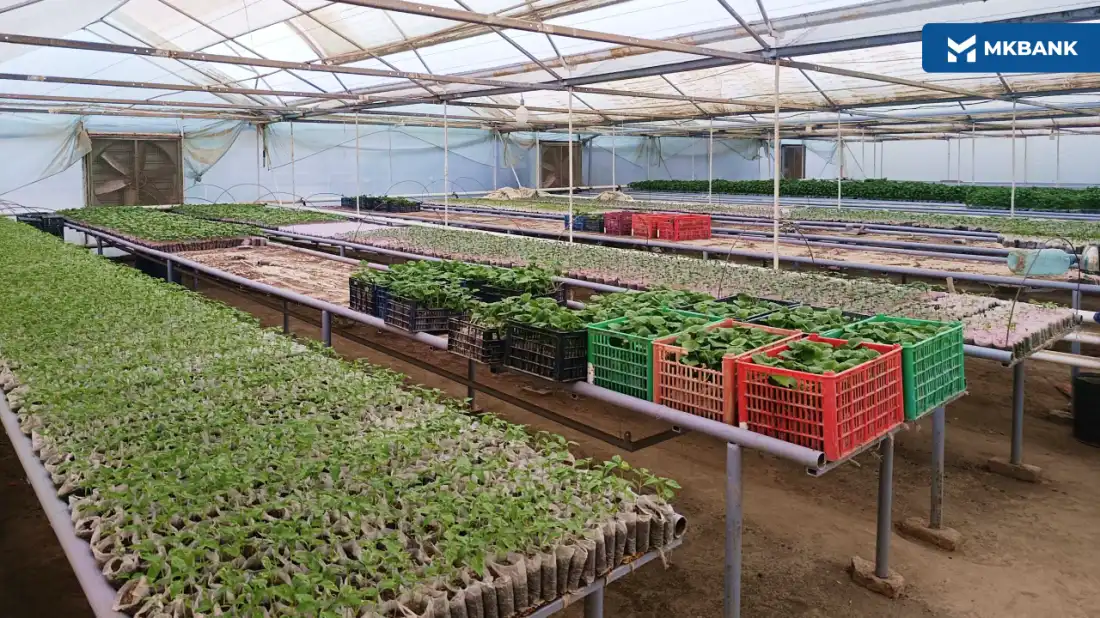 Mahalladoshlarini ham daromadli mehnatga qiziqtirgan tadbirkor