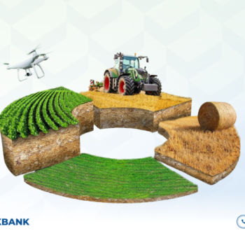 MKBANK introduced credit products "Barakali bug'doy" and "Agro zaxira"