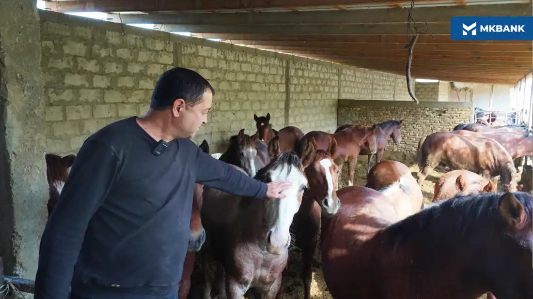 Migrant hikoyasi: “Yilqichilik oilam yonida qolishimga sabab bo‘ldi”