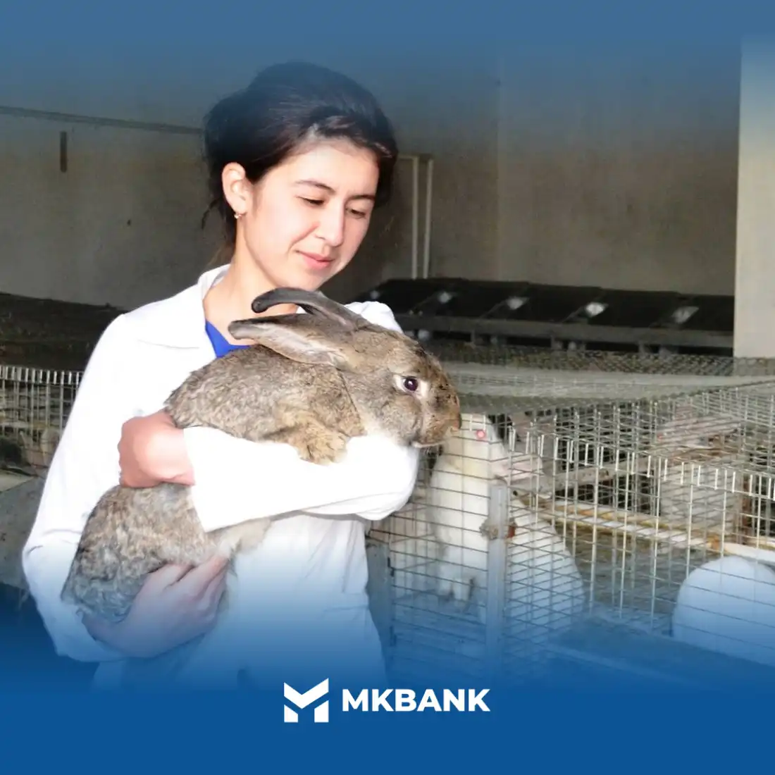 Quyonchilikni qoʻllab-quvvatlash qoʻshimcha imkoniyatlarga yoʻl ochadi