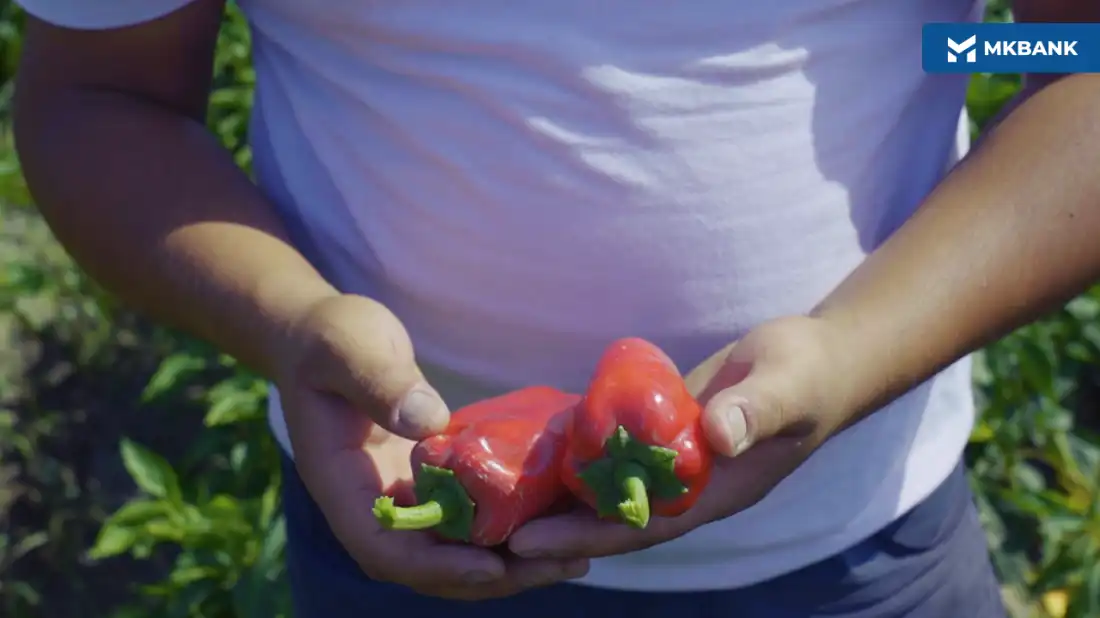 Самарқандда “Бир контур - бир маҳсулот” лойиҳаси: “Ким ишлайман деса, имконият бор…”