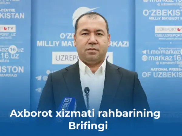 Briefing: On the work done in 2025 and plans for 2026