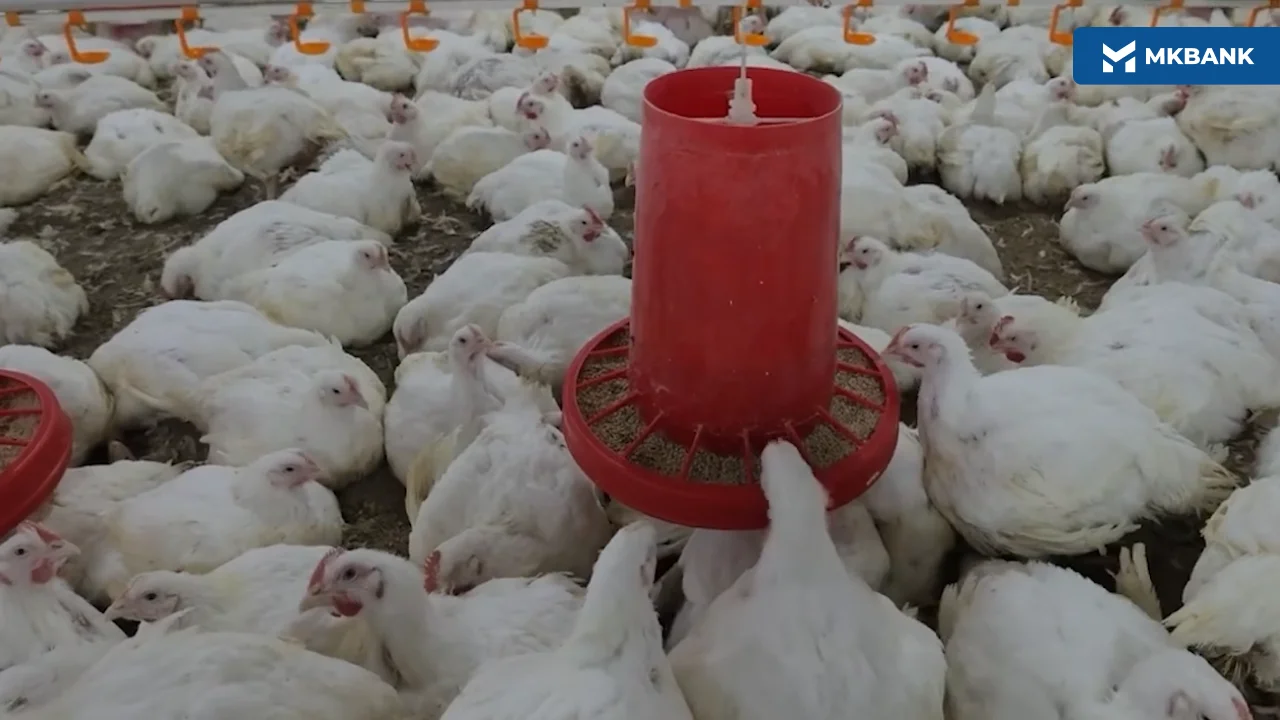 5 (73).png 5 (73).png