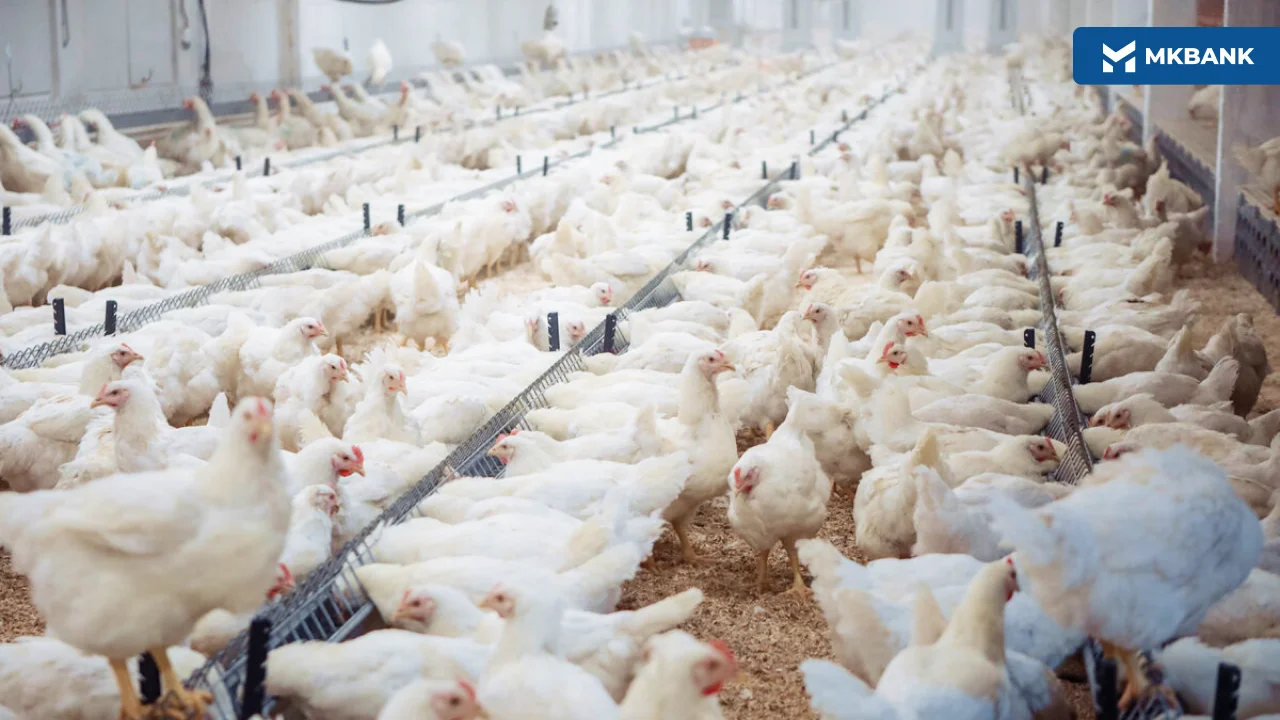 2 (27).png 2 (27).png