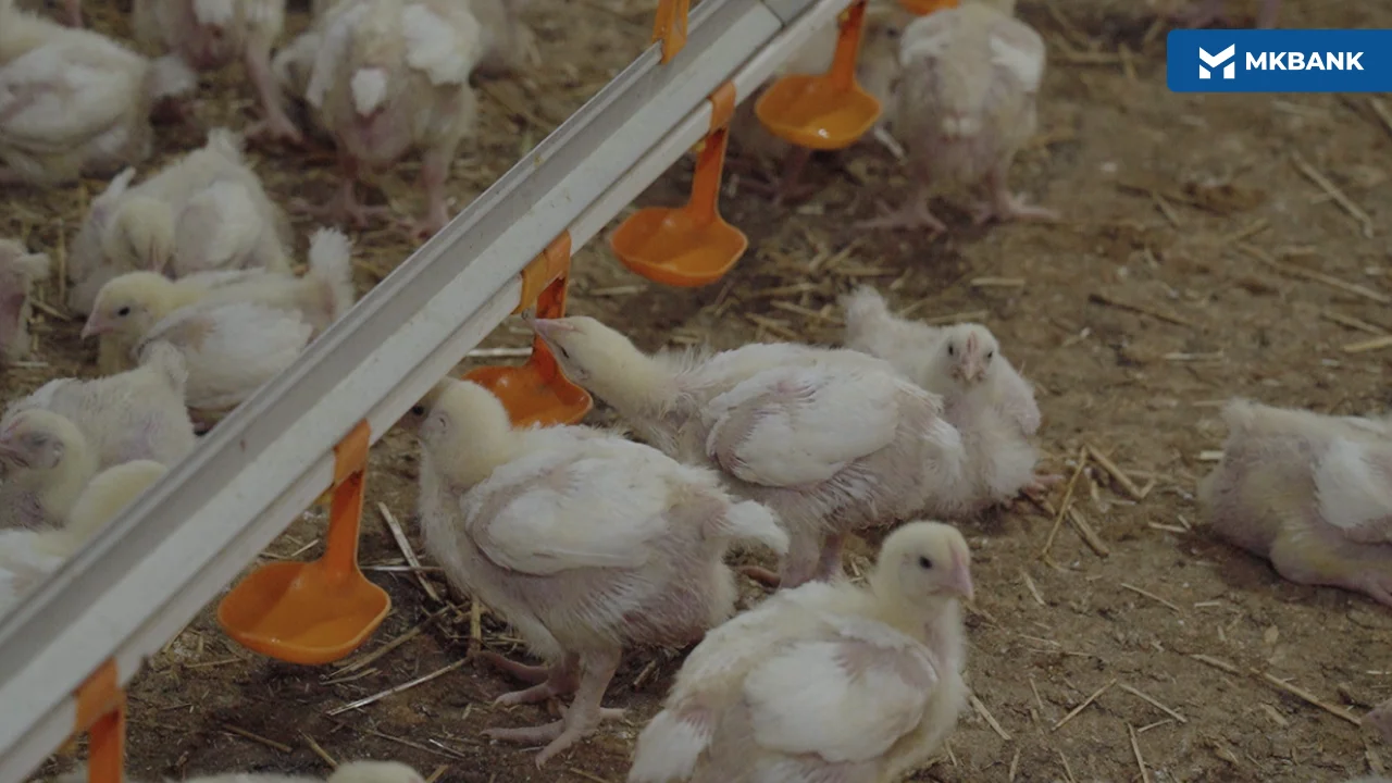 4 (88).png 4 (88).png