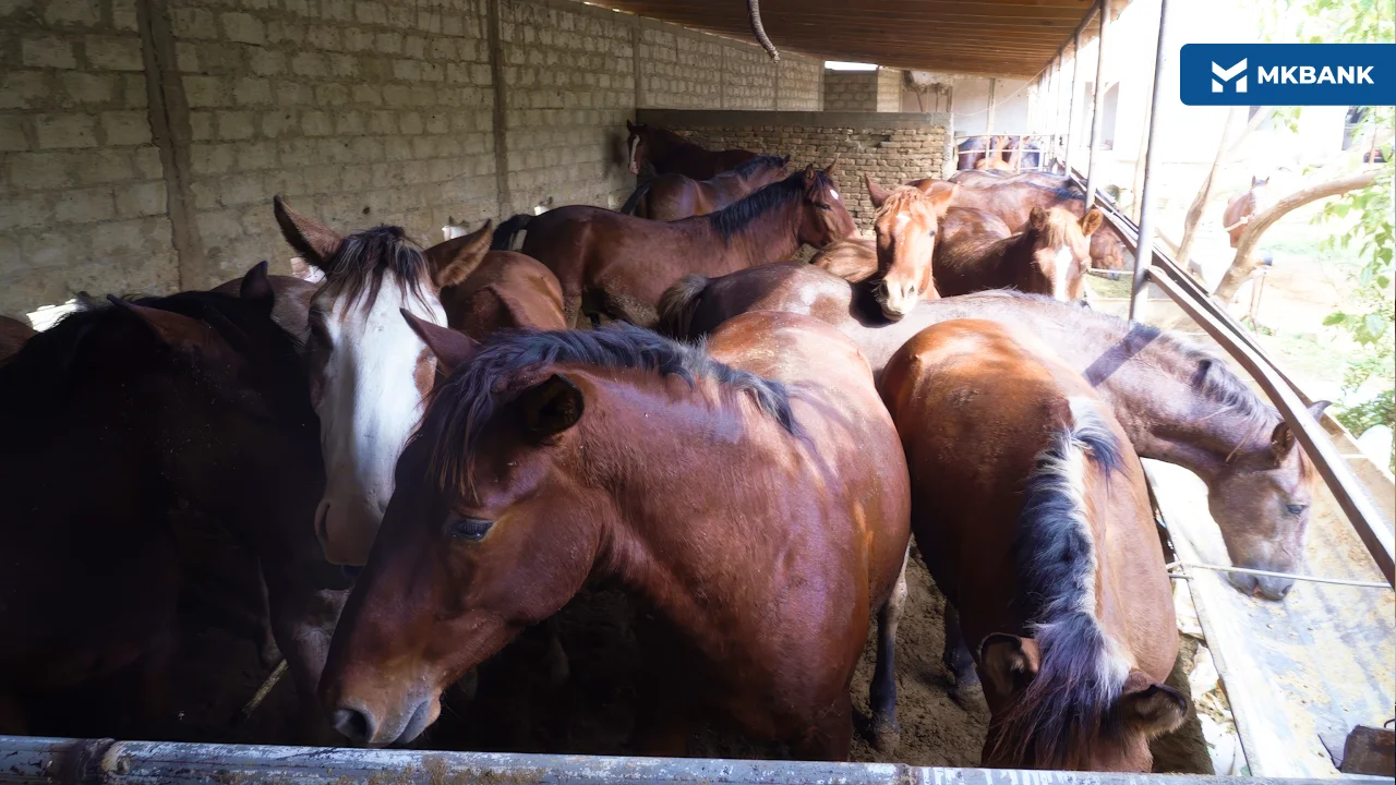 6a2b206c-bbd9-46b8-a197-e757c768cb64.png 6a2b206c-bbd9-46b8-a197-e757c768cb64.png