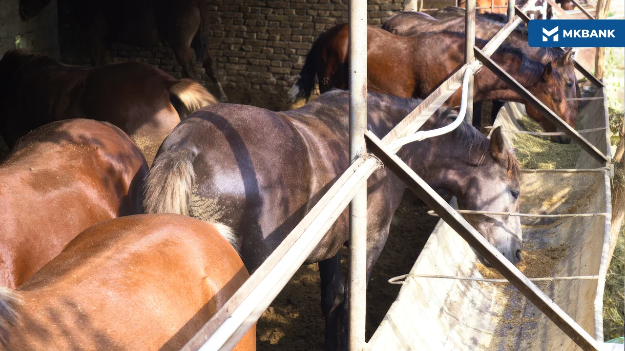 de136697-8cea-49c3-a1d9-ee2b48cc8a55.png de136697-8cea-49c3-a1d9-ee2b48cc8a55.png