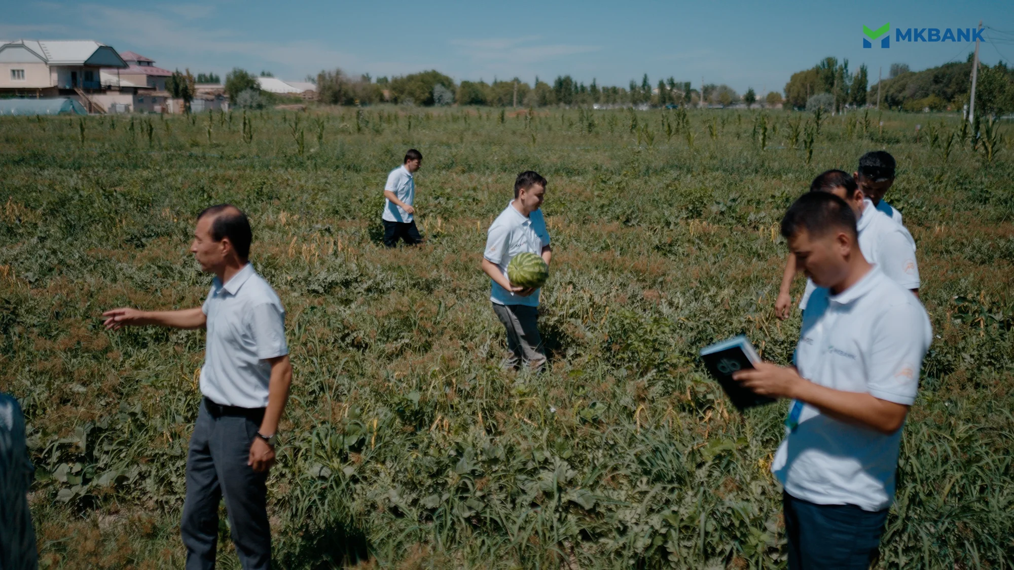 Sequence 01.00_04_32_06.Still006.jpg