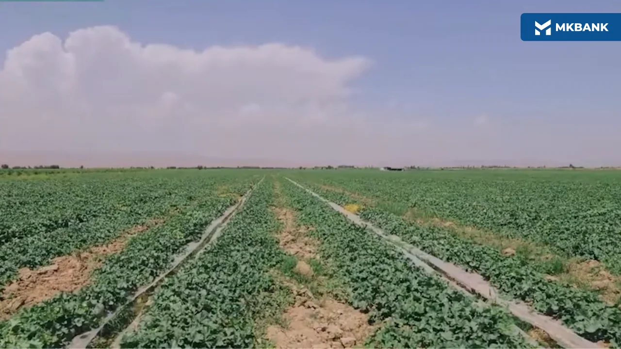 3 (139).png 3 (139).png