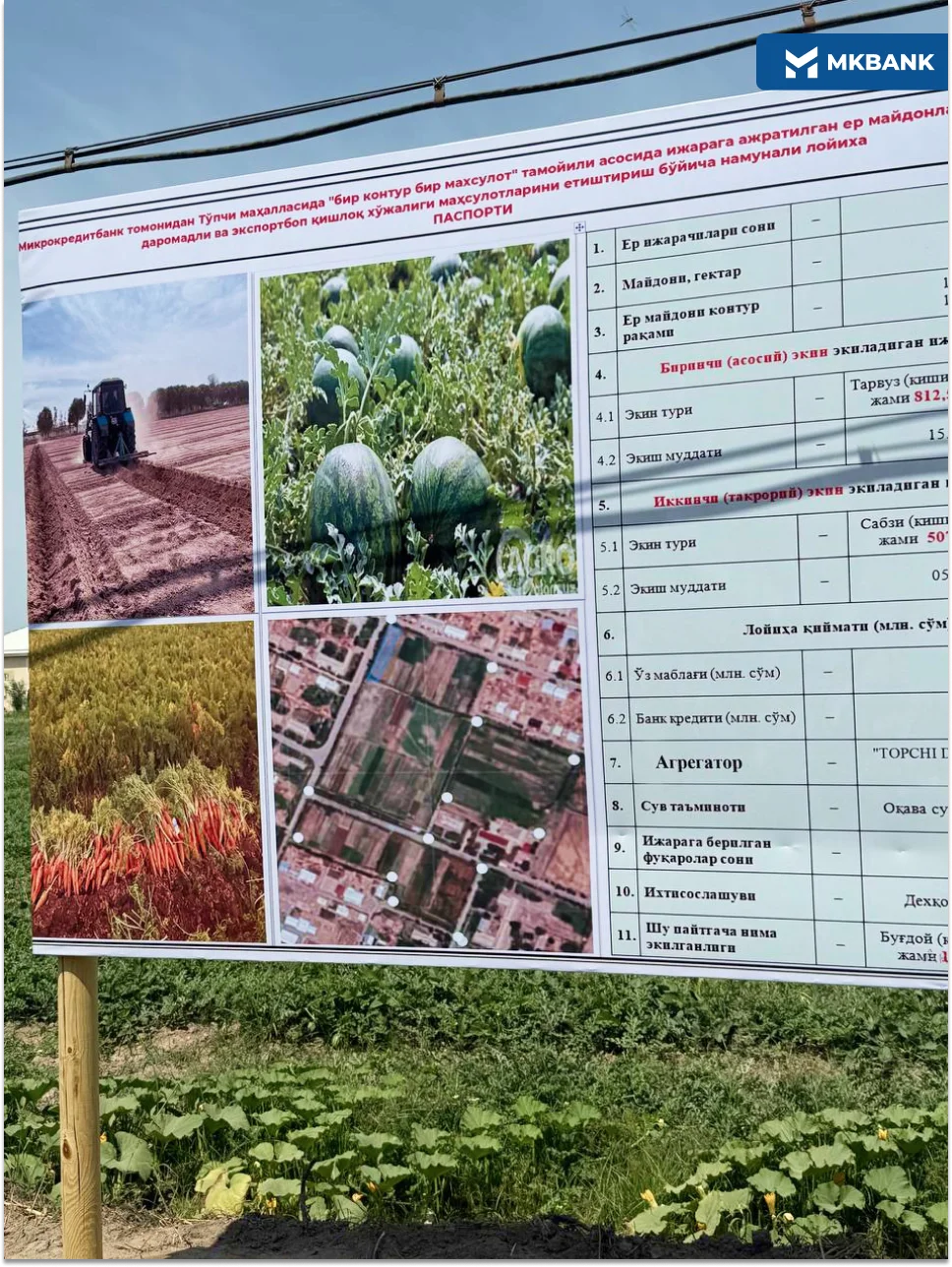 2 (128).png 2 (128).png