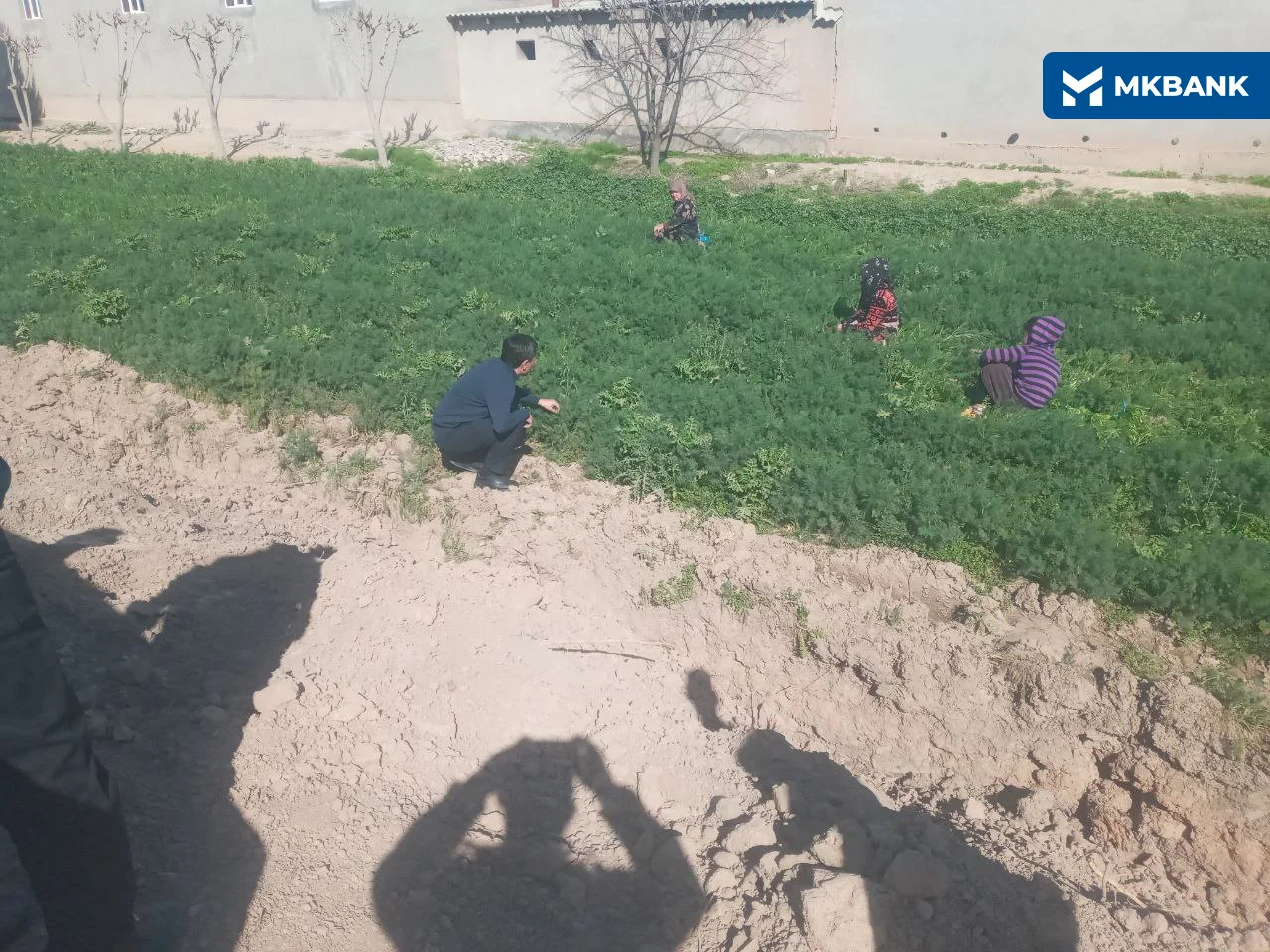 8 (124).png 8 (124).png