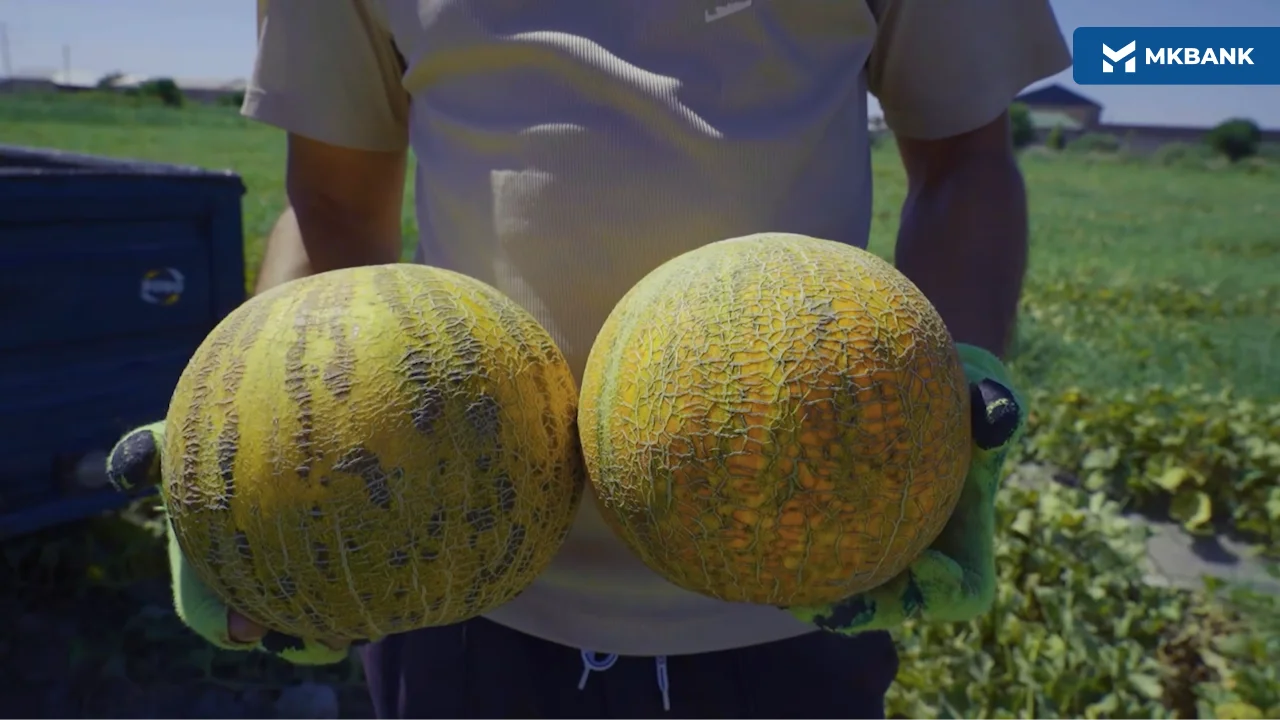 8 (66).png 8 (66).png