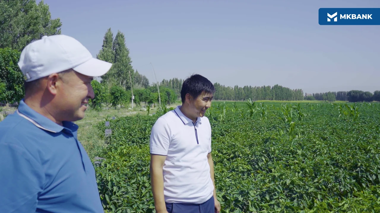 6 (54).png 6 (54).png