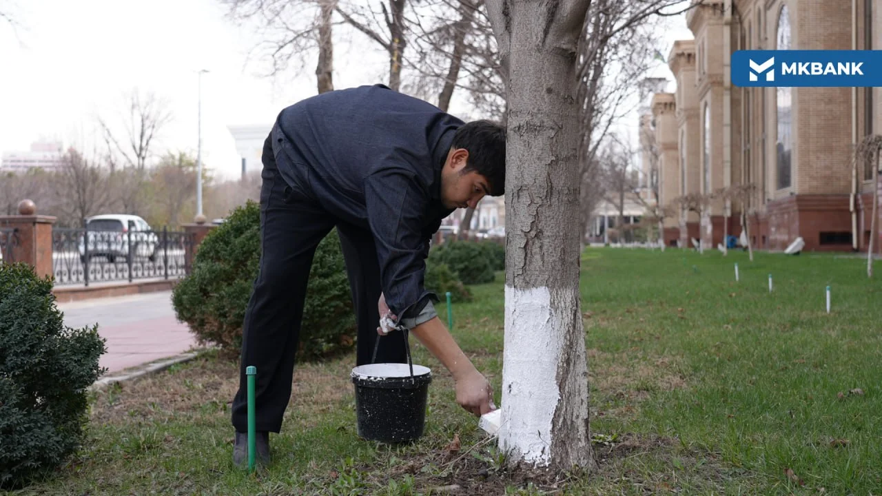 photo_2026-03-14_16-24-31 (5).jpg