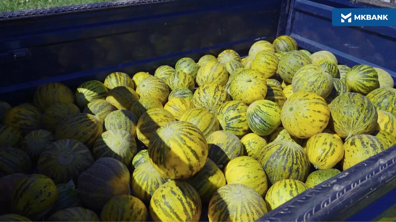 5 (119).png 5 (119).png