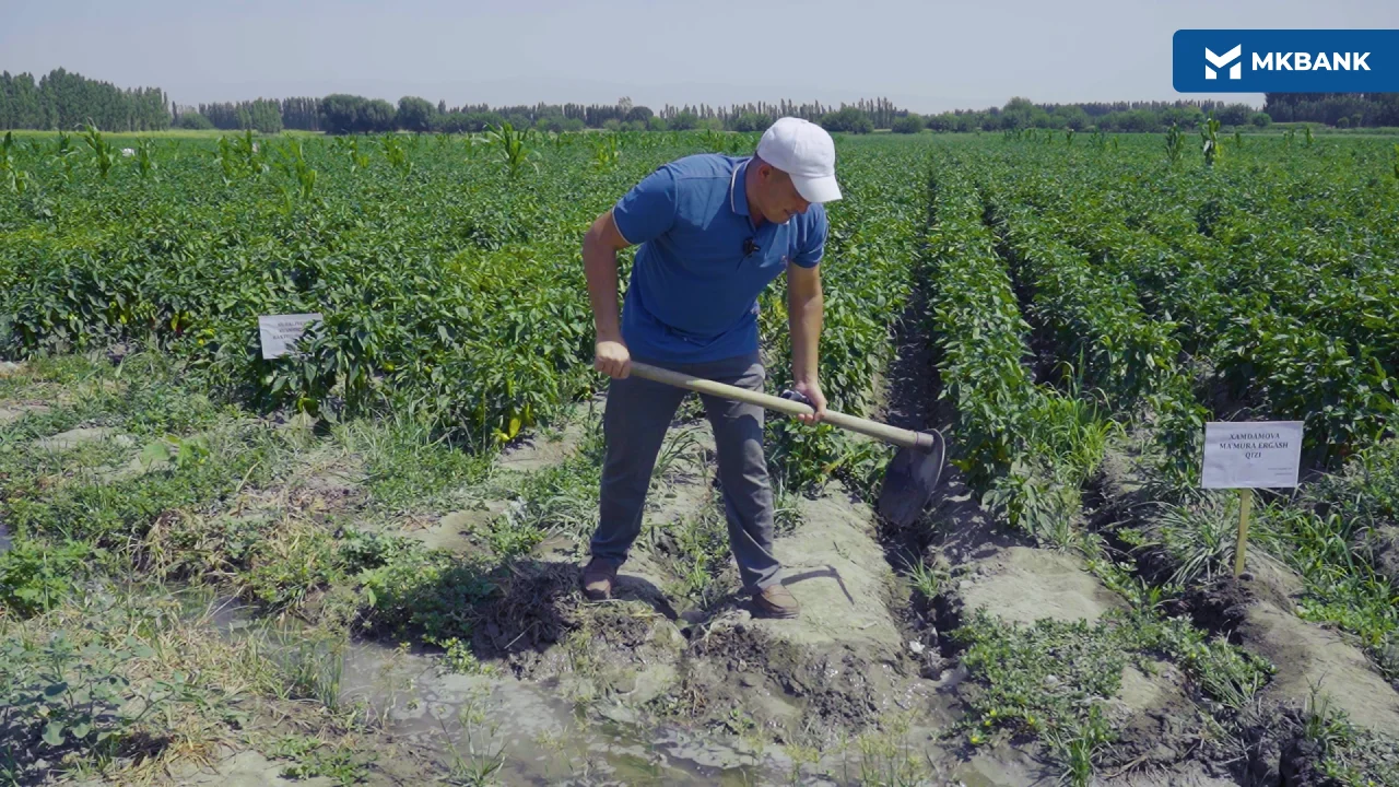 4 (80).png 4 (80).png