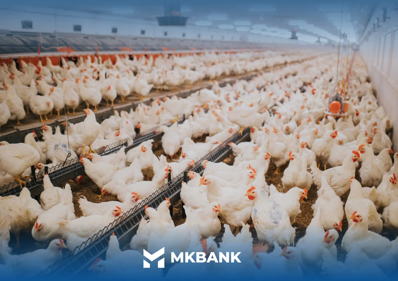 ecddd16d-1af4-4f90-8455-b9ddb2f088e0 — копия.jpg